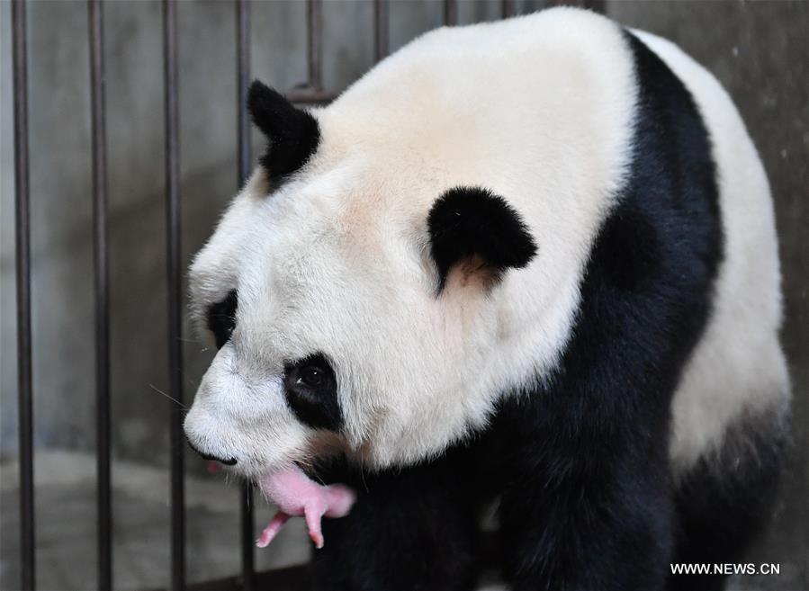 ????? ???? ????? ????? ??? ?????