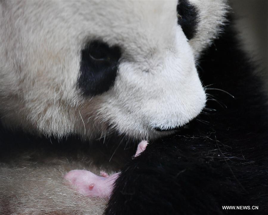 ????? ???? ????? ????? ??? ?????