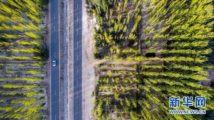 ???????? ???? ?? ????? ??????? ??? ???? ??????? ???????