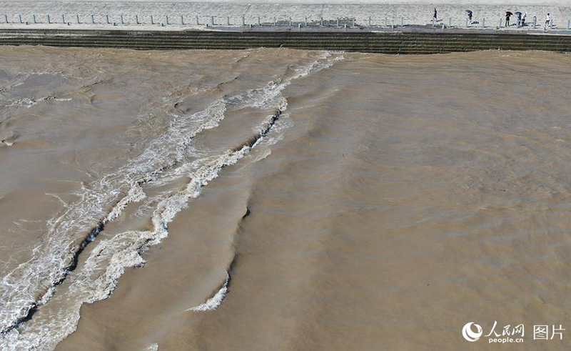 ???? ?? ???? ?? ??????.. ?????? ????????? ?? ?? ??? ?????????? ????? ?????