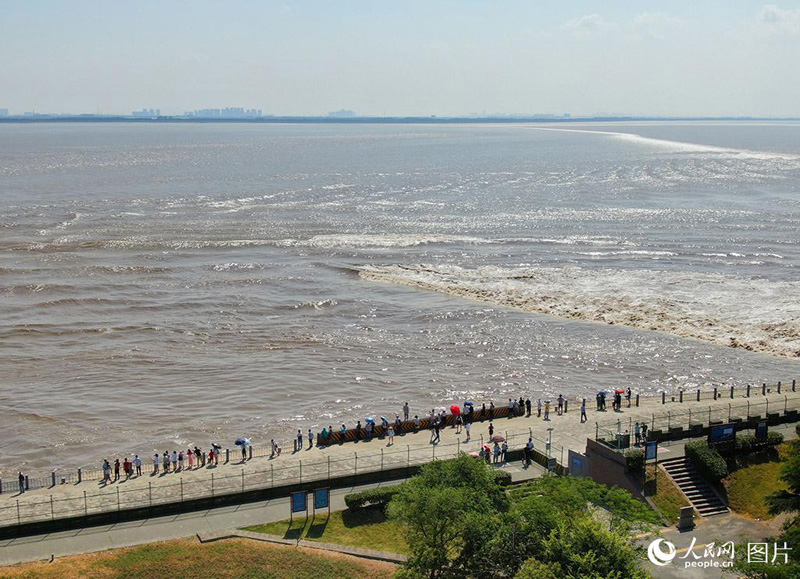 ???? ?? ???? ?? ??????.. ?????? ????????? ?? ?? ??? ?????????? ????? ?????