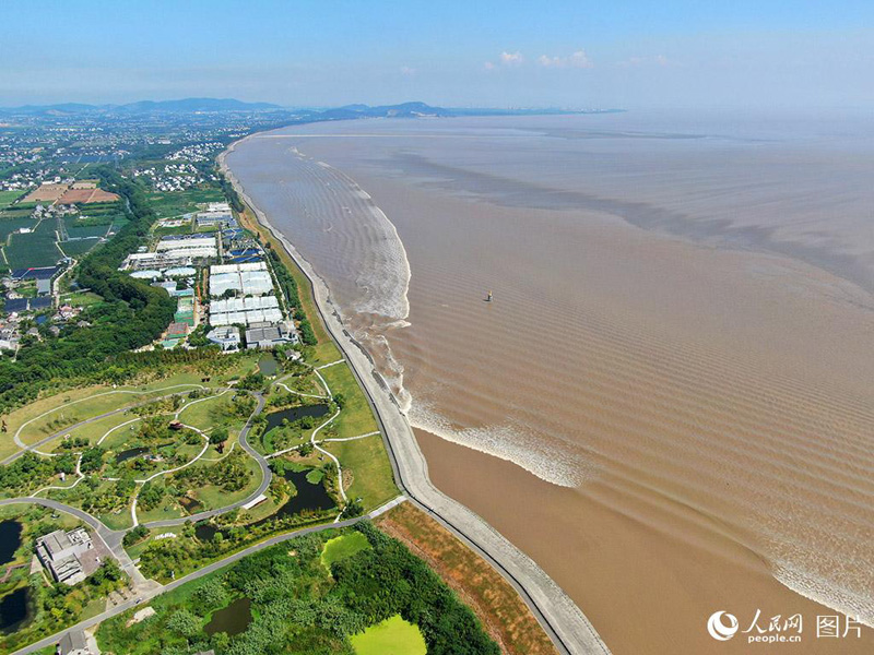 ???? ?? ???? ?? ??????.. ?????? ????????? ?? ?? ??? ?????????? ????? ?????