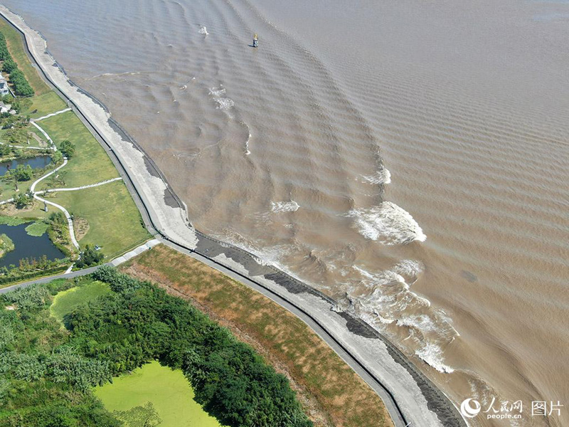 ???? ?? ???? ?? ??????.. ?????? ????????? ?? ?? ??? ?????????? ????? ?????