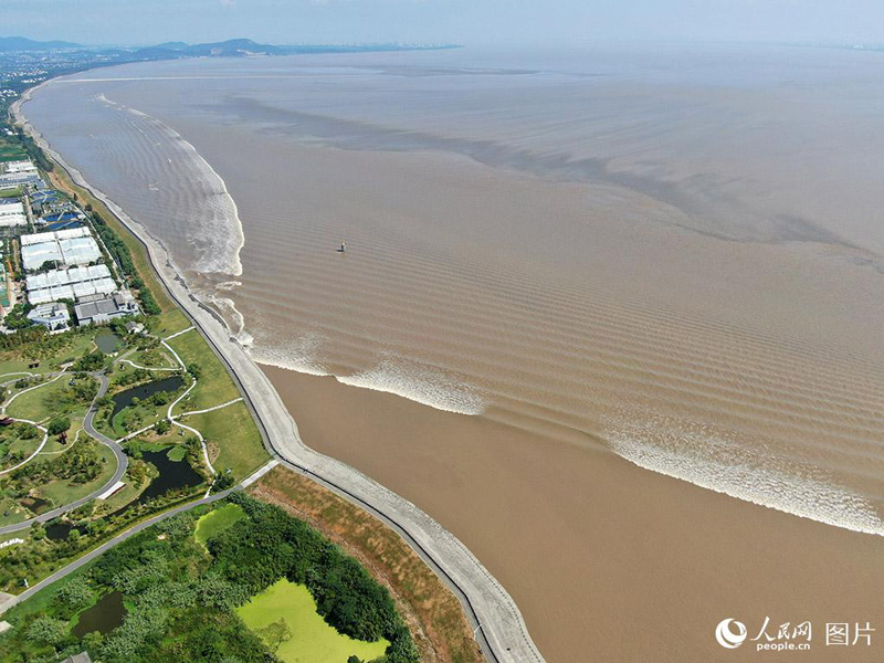 ???? ?? ???? ?? ??????.. ?????? ????????? ?? ?? ??? ?????????? ????? ?????