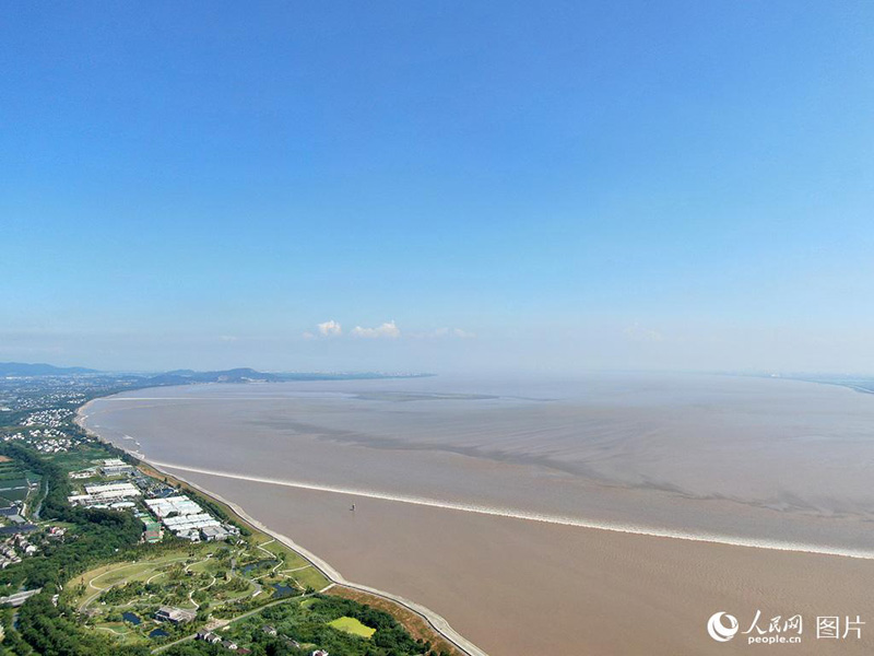 ???? ?? ???? ?? ??????.. ?????? ????????? ?? ?? ??? ?????????? ????? ?????