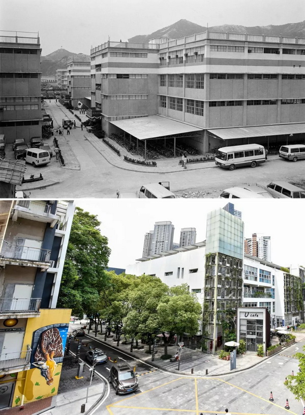 ?? ???? ????? ??? ????? ?????.. ?????? ???????? ?? ????? ??? 40 ????