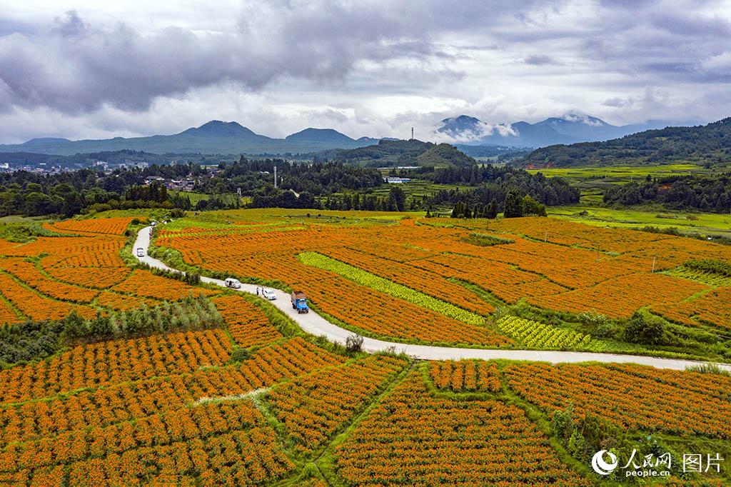 ????? ???? ?? ???? ??????? ?? ?????? ????? ?????