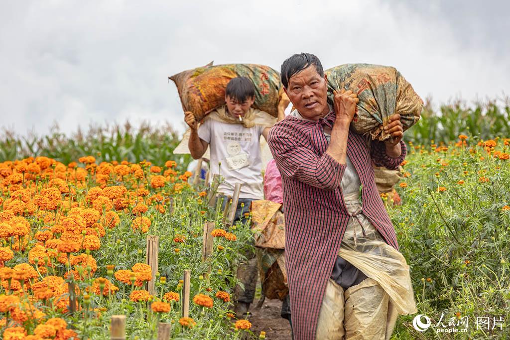 ????? ???? ?? ???? ??????? ?? ?????? ????? ?????