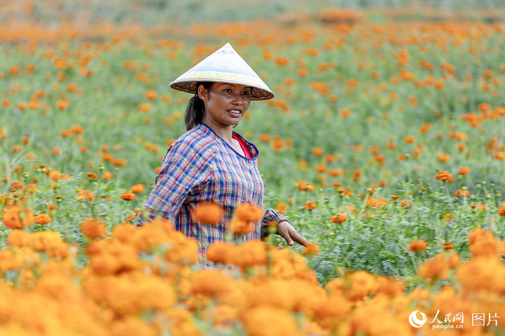 ????? ???? ?? ???? ??????? ?? ?????? ????? ?????