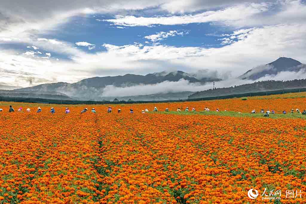 ????? ???? ?? ???? ??????? ?? ?????? ????? ?????