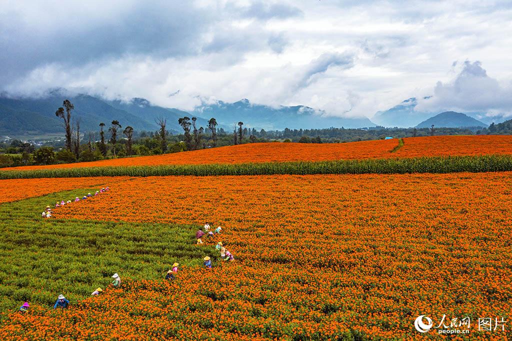 ????? ???? ?? ???? ??????? ?? ?????? ????? ?????