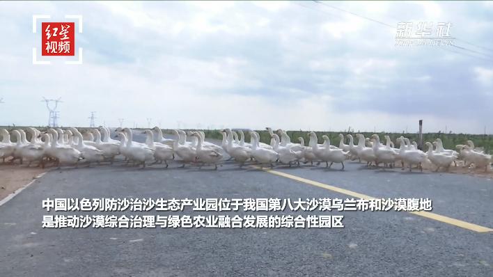 ??????? ????? ?????? ??????? ?????? ?? ????? ?????? ?????