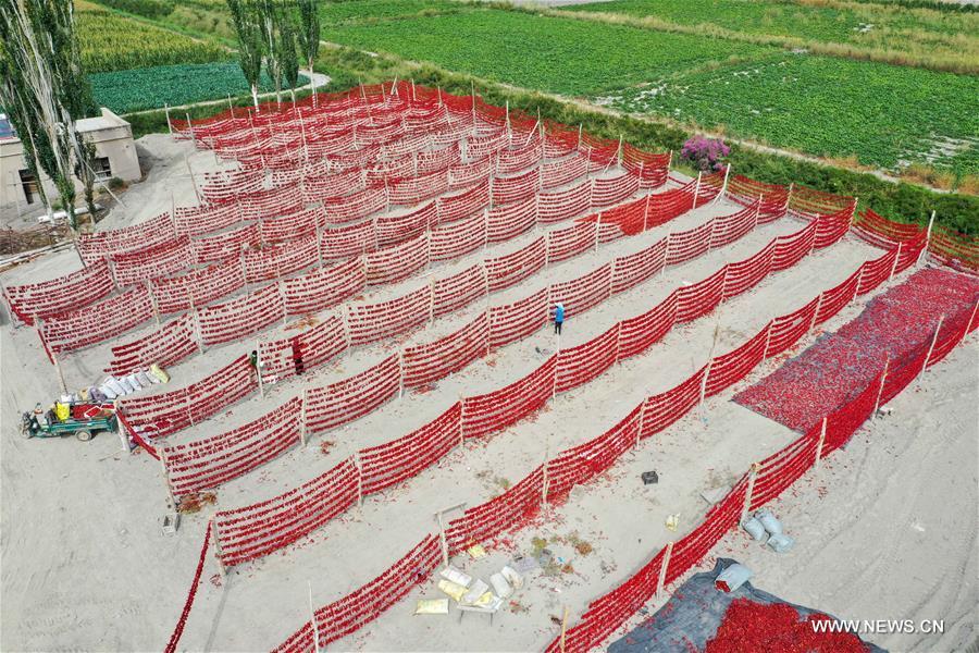 ???? ?????? ????? ?? ????? ???????? ????? ???? ?????