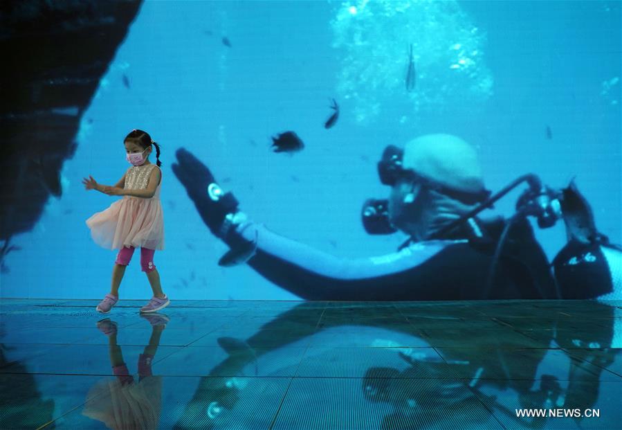 ?????? ???????? ???????? ??? ???? ???? ?? ???? ????? ?????? ?????? ??????? 2020