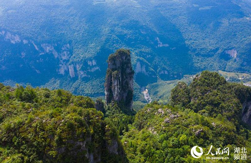 ???? ????? ????? ??????? ??? ?? ??? 30 ???? ?????