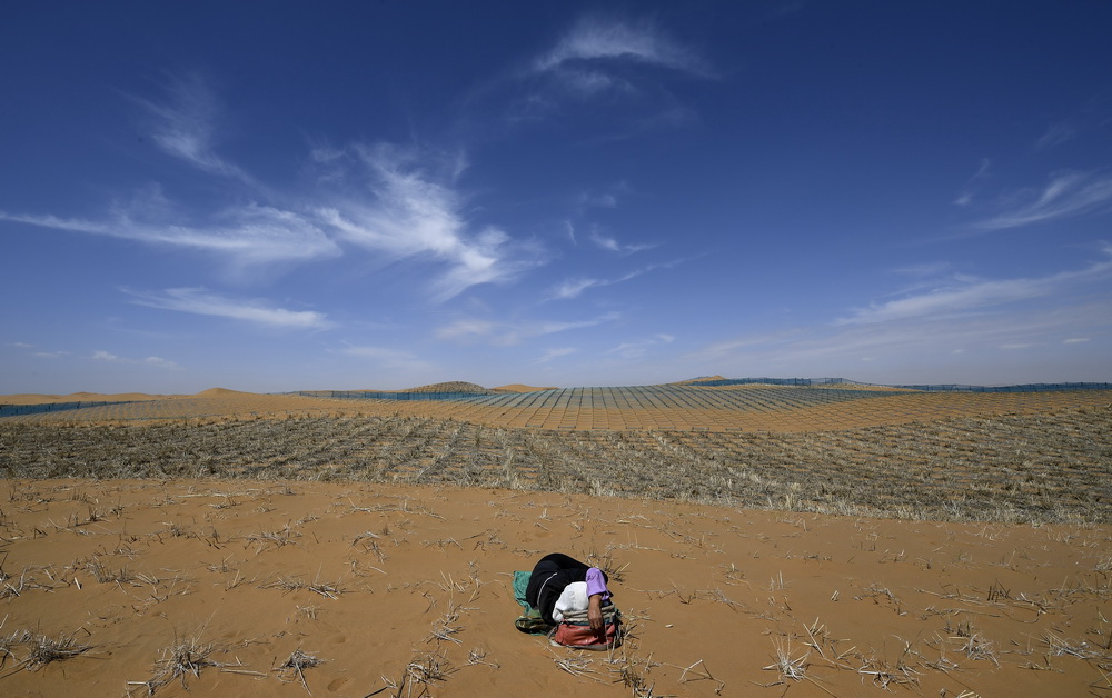 ??????.. ???? ????? ????? ?????? ?????? ??? ??? ???? ???? ?????? ????????