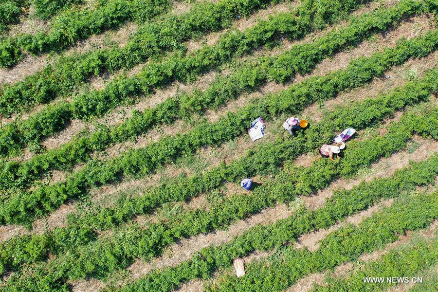 ????? ?????? ???? ?? ??? ????????? ?? ??? ?????