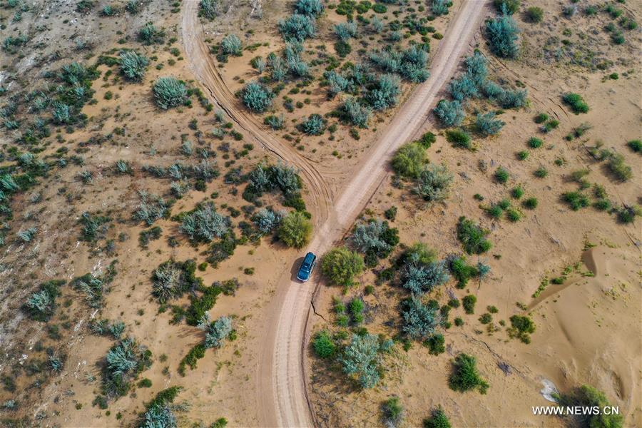 ?????? ?????? ?? ????? ??????? ?????? ?????