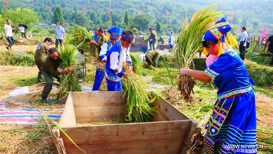 ?????? ???? ????? ???????? ??????? ??????