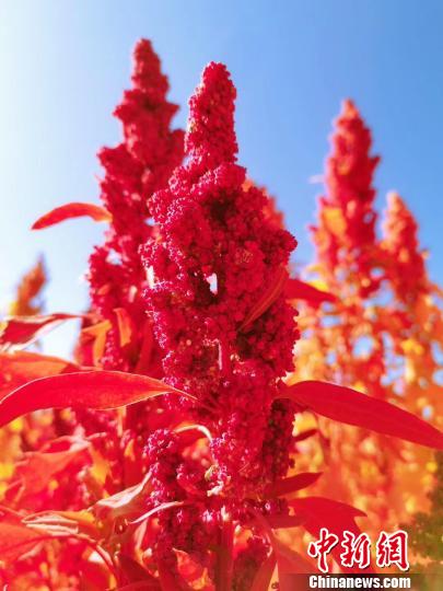 ????? ??? ??????? ??? ???: ????? ??????? ????? ????? ??????? ????????