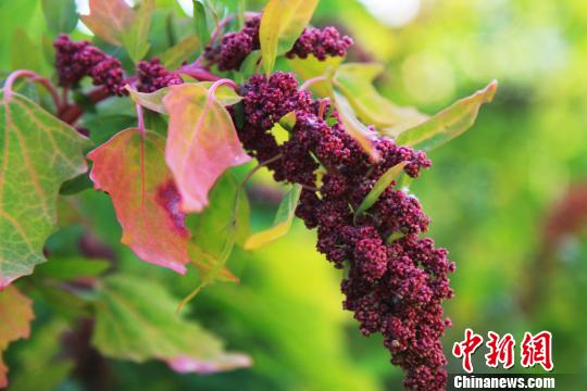 ????? ??? ??????? ??? ???: ????? ??????? ????? ????? ??????? ????????