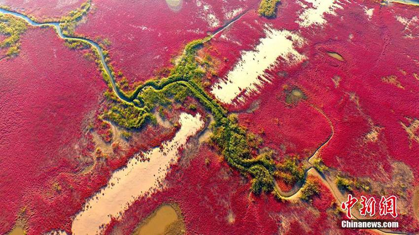 ?????? ???????? ??? ?? ??? ????? ?????? ???? ?????