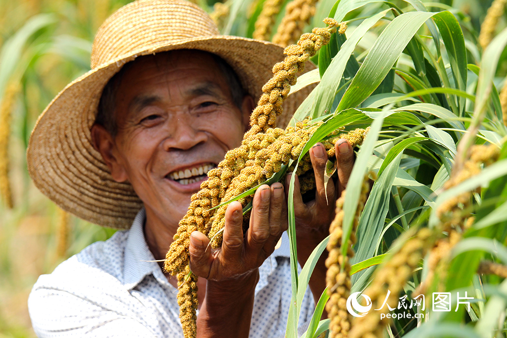 ???????? ???? ???? ????????? ???????? ?????? ??? ?????