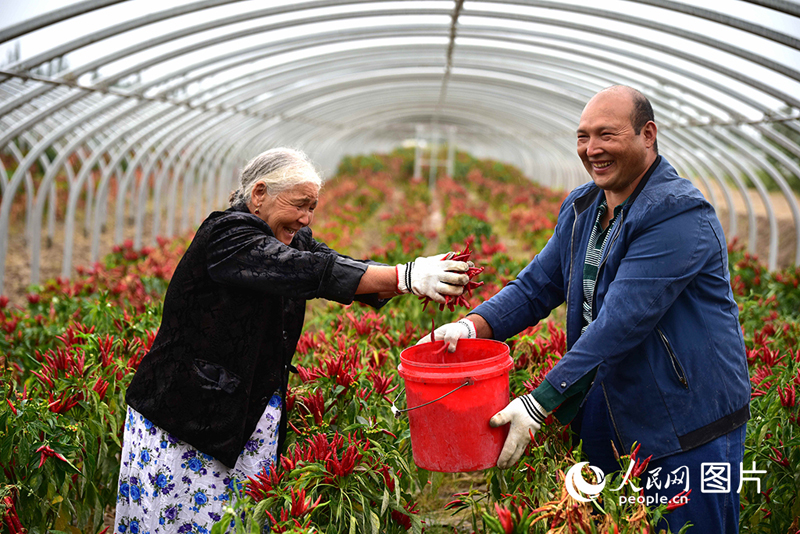 ???????? ???? ???? ????????? ???????? ?????? ??? ?????