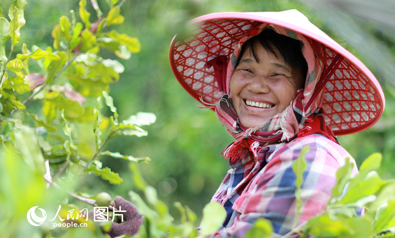 ???????? ???? ???? ????????? ???????? ?????? ??? ?????