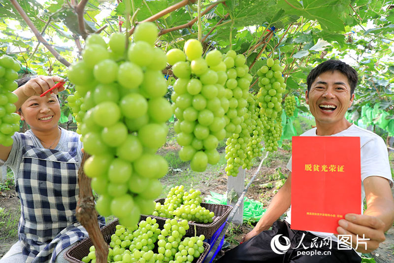 ???????? ???? ???? ????????? ???????? ?????? ??? ?????