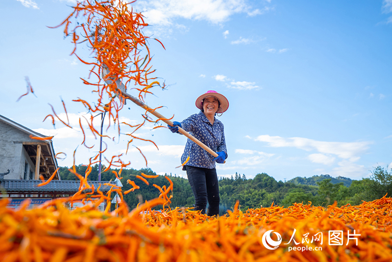 ???????? ???? ???? ????????? ???????? ?????? ??? ?????