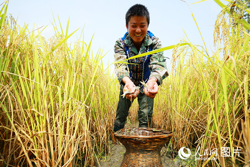 ???????? ???? ???? ????????? ???????? ?????? ??? ?????