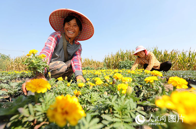 ???????? ???? ???? ????????? ???????? ?????? ??? ?????