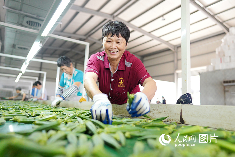 ???????? ???? ???? ????????? ???????? ?????? ??? ?????