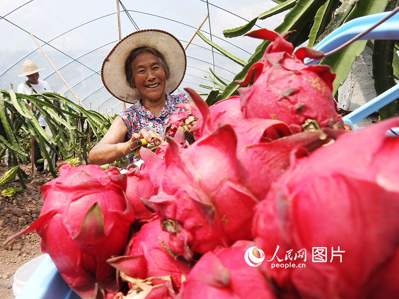 ???????? ???? ???? ????????? ???????? ?????? ??? ?????