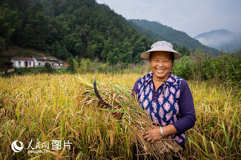 ???????? ???? ???? ????????? ???????? ?????? ??? ?????