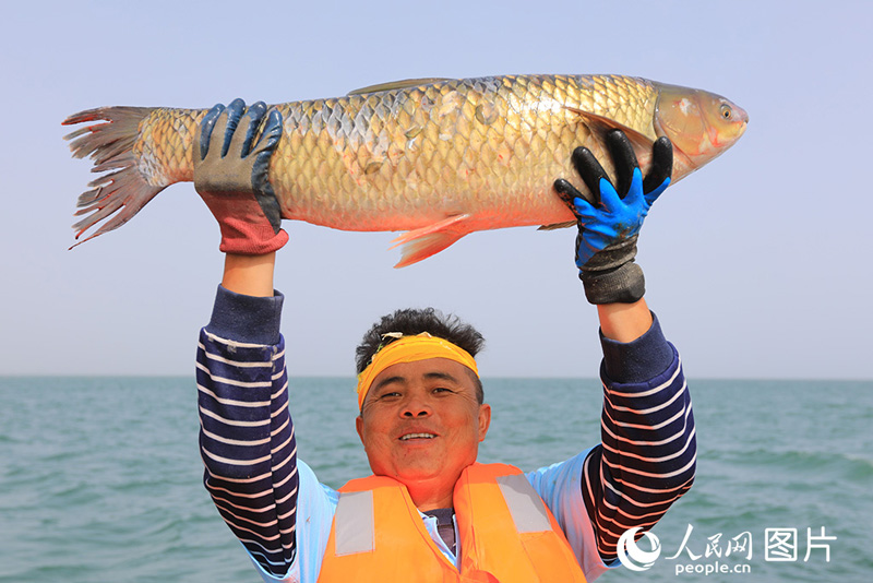 ???????? ???? ???? ????????? ???????? ?????? ??? ?????