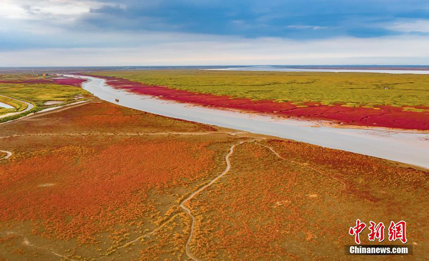 ??? ?????? ... ????? ?????? ?????? ???? ???? ?????? ? ????????