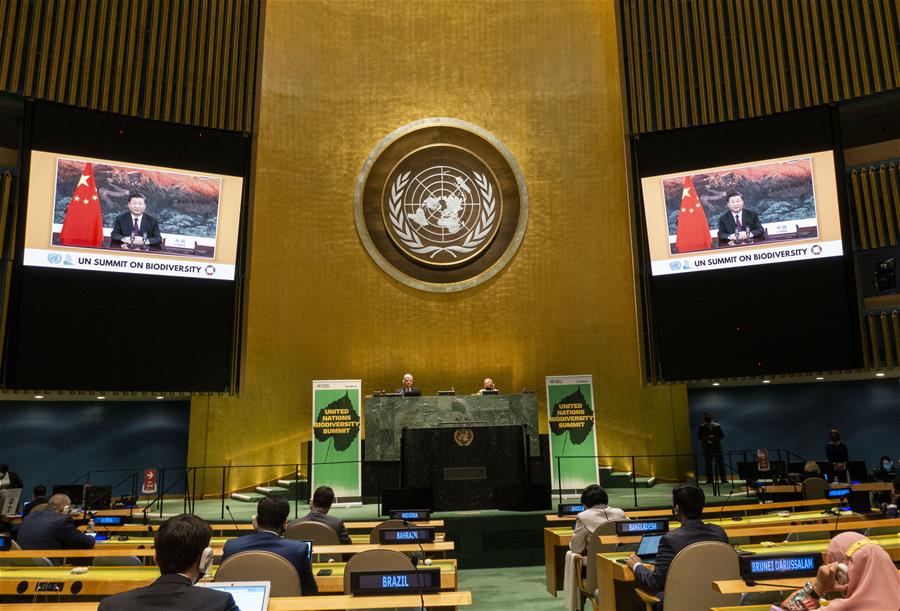 ????? : ?? ??? ??? ????? ?????? ??? ?????? ????????? ???????? ??????? ????????