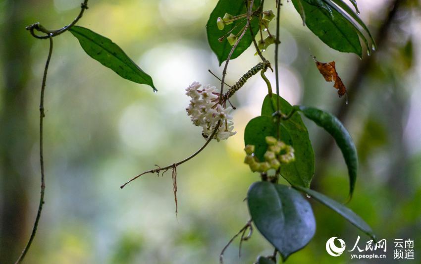 ?????? ??? ????? ???? ?? ?????? ?????? ????? ???? ?????