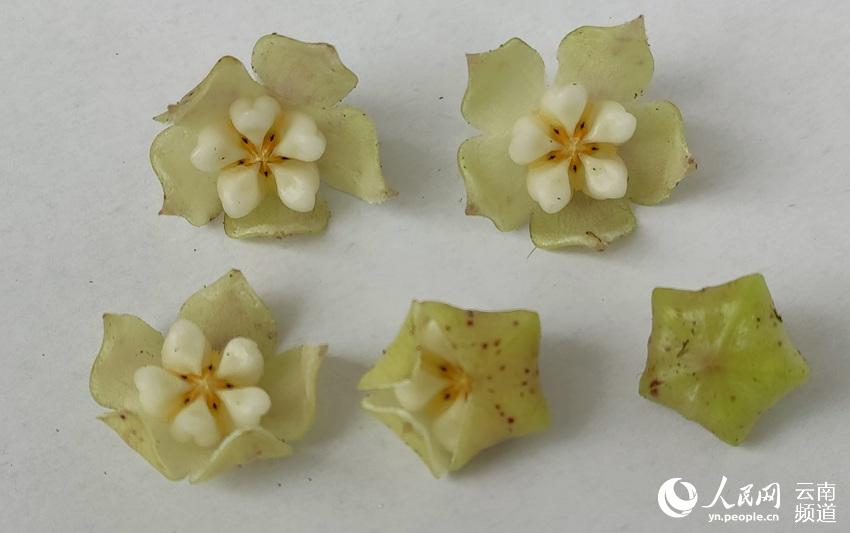 ?????? ??? ????? ???? ?? ?????? ?????? ????? ???? ?????