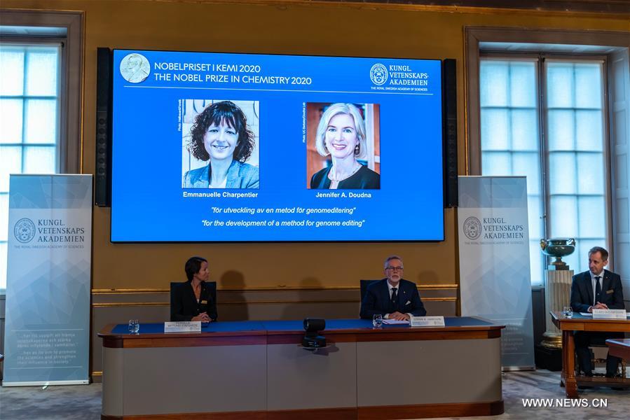 ????? ?? ??????? ???????? ????? ???? 2020 ?? ????????