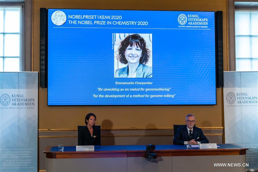 ????? ?? ??????? ???????? ????? ???? 2020 ?? ????????