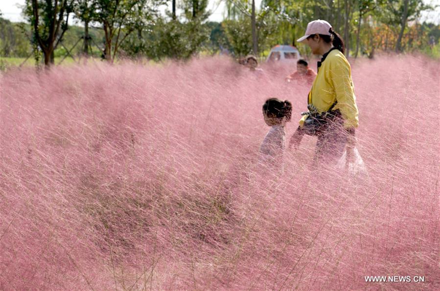 ??????? ???????? ??????? ????? ???? ???? ????? ??????