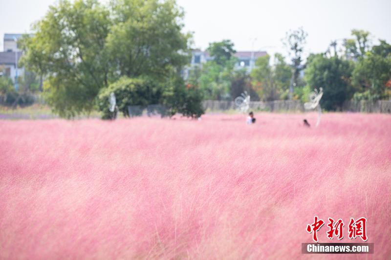 ?????? ?????? ?????? ???? ?????? ????? ???? ????? ??????