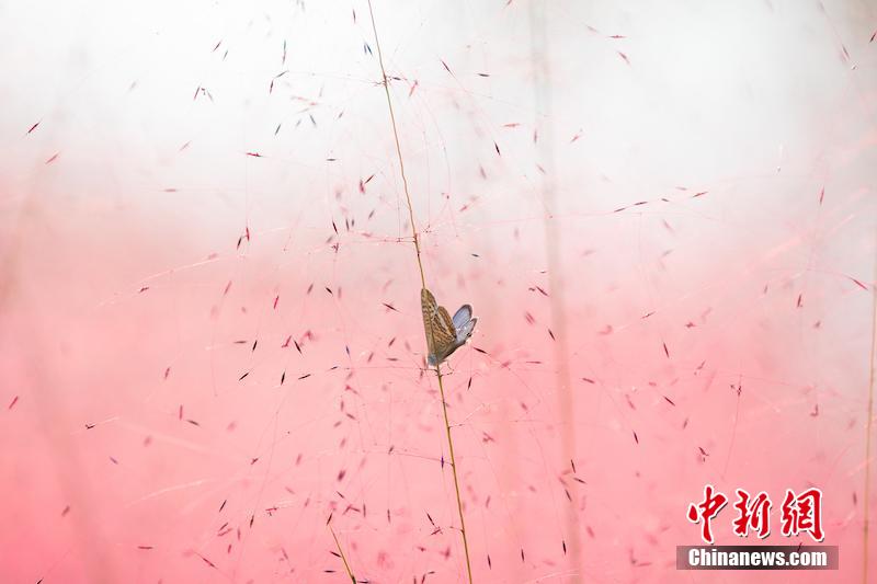 ?????? ?????? ?????? ???? ?????? ????? ???? ????? ??????