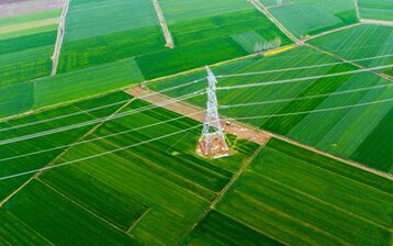 ?????: ???????? ?????? ????? ??? ???? ??? ??? ???? ???? ????? ??????? ??????? ????