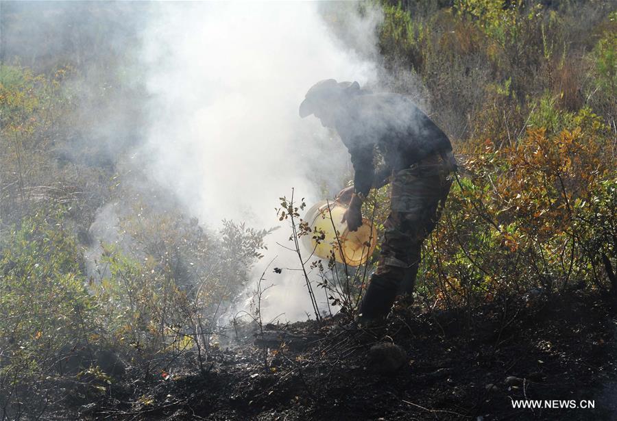 ???? ??????? ?????? ???? ??????? ??? ???? ??????? ???? ???? ?????? ???? ?????????