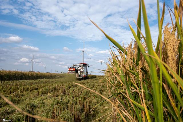 ????? ????? ??????? ?? ?????? ??????? ???? ????? ??????? ????????? ???? ?????