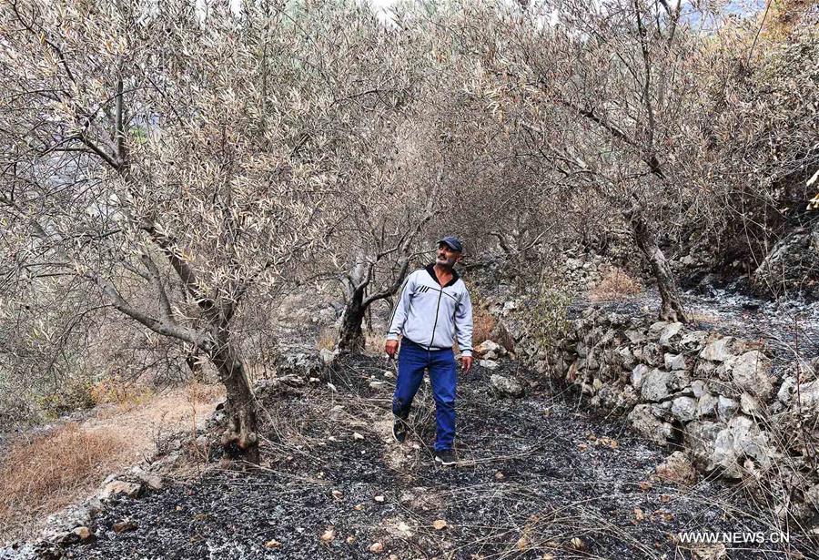 ????? : ????? ????? ?? ???? ?????? ??????? ??? ????? ????? ??????? ?? ?????